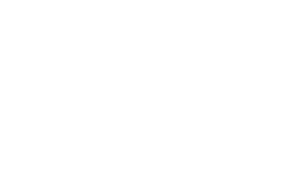 Alpixel Logo